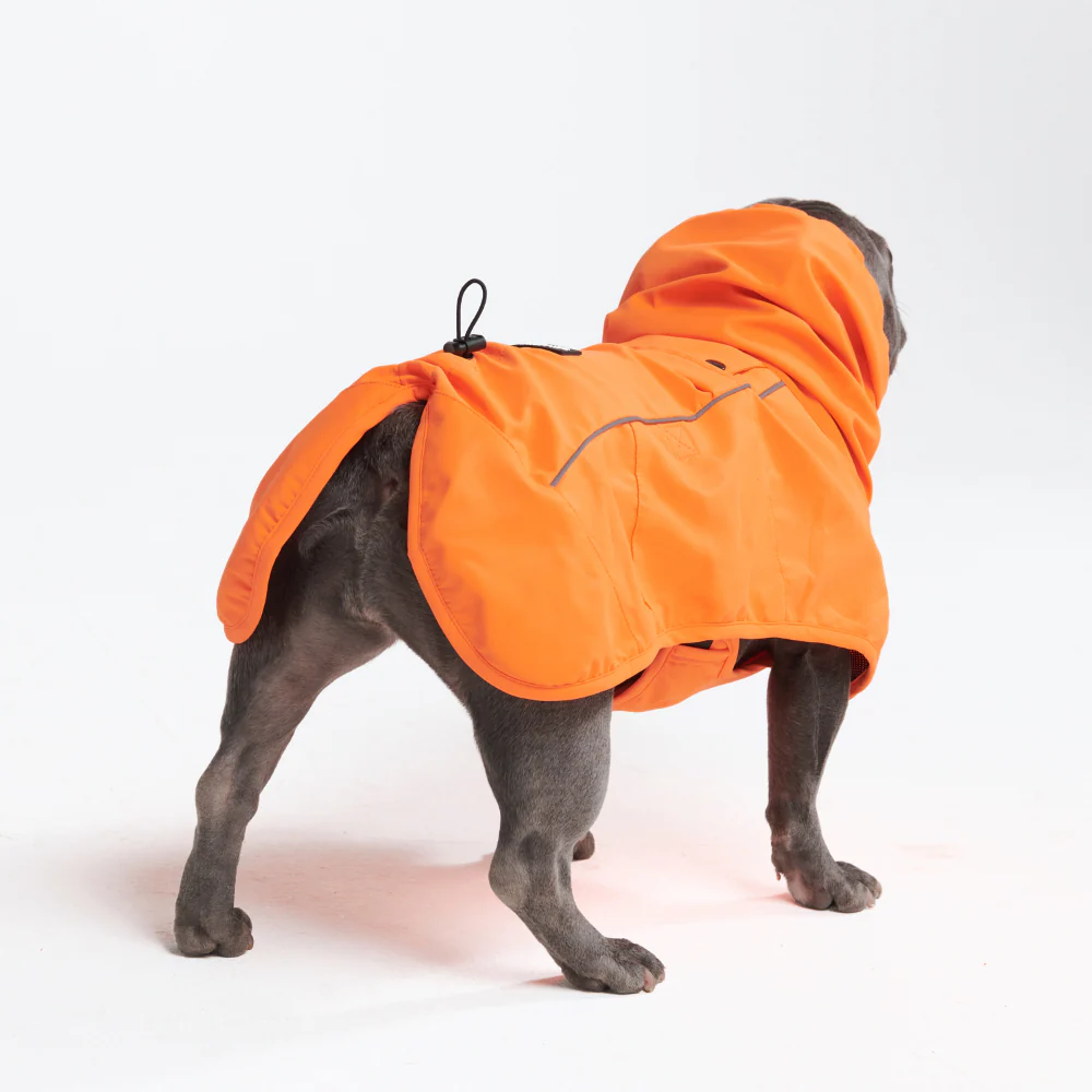 Product image 69
