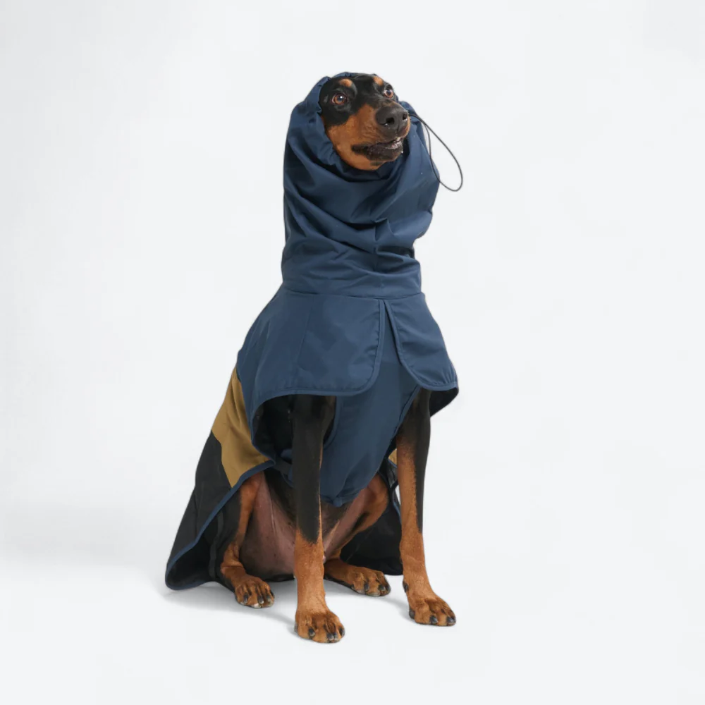 Product image 85