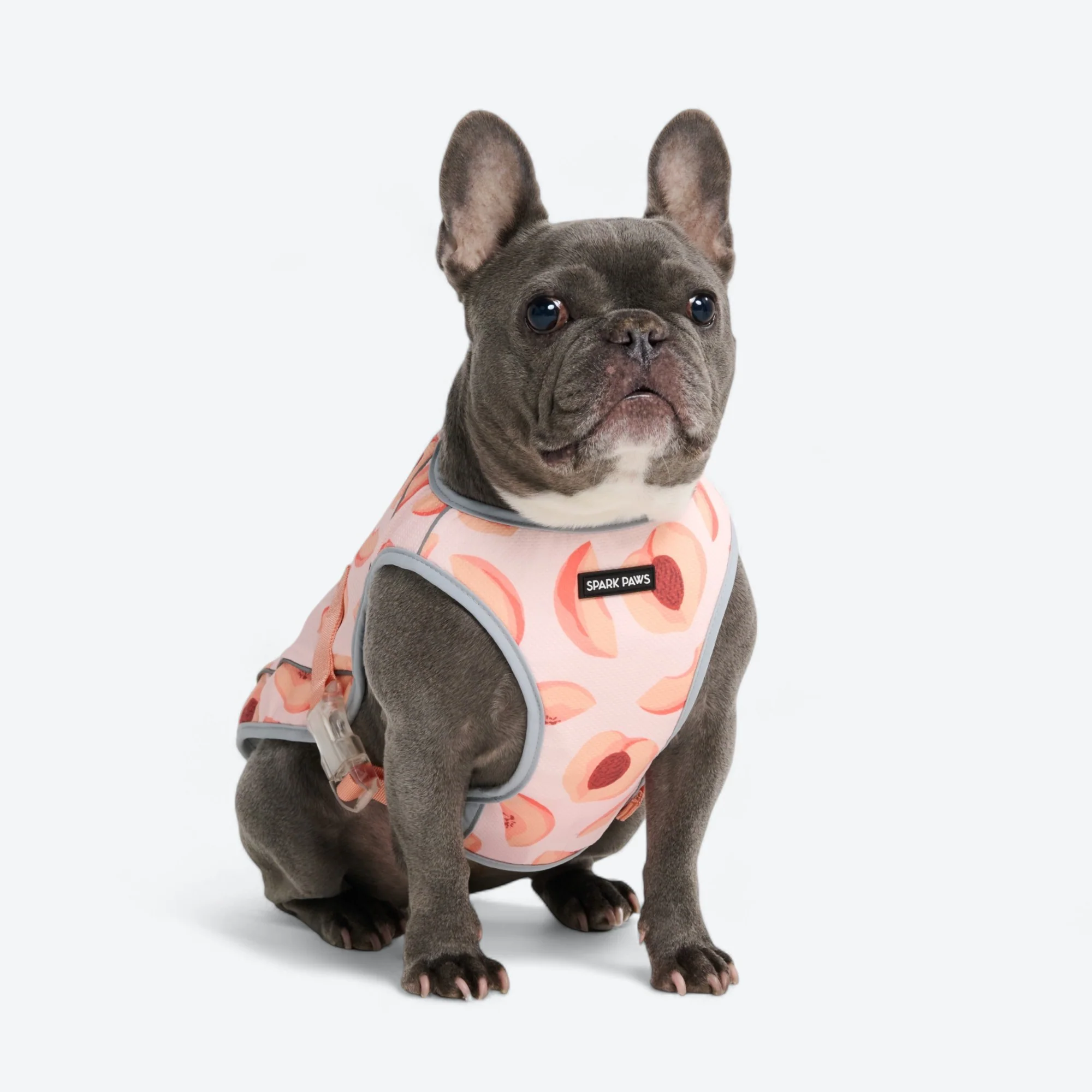 Product image 80