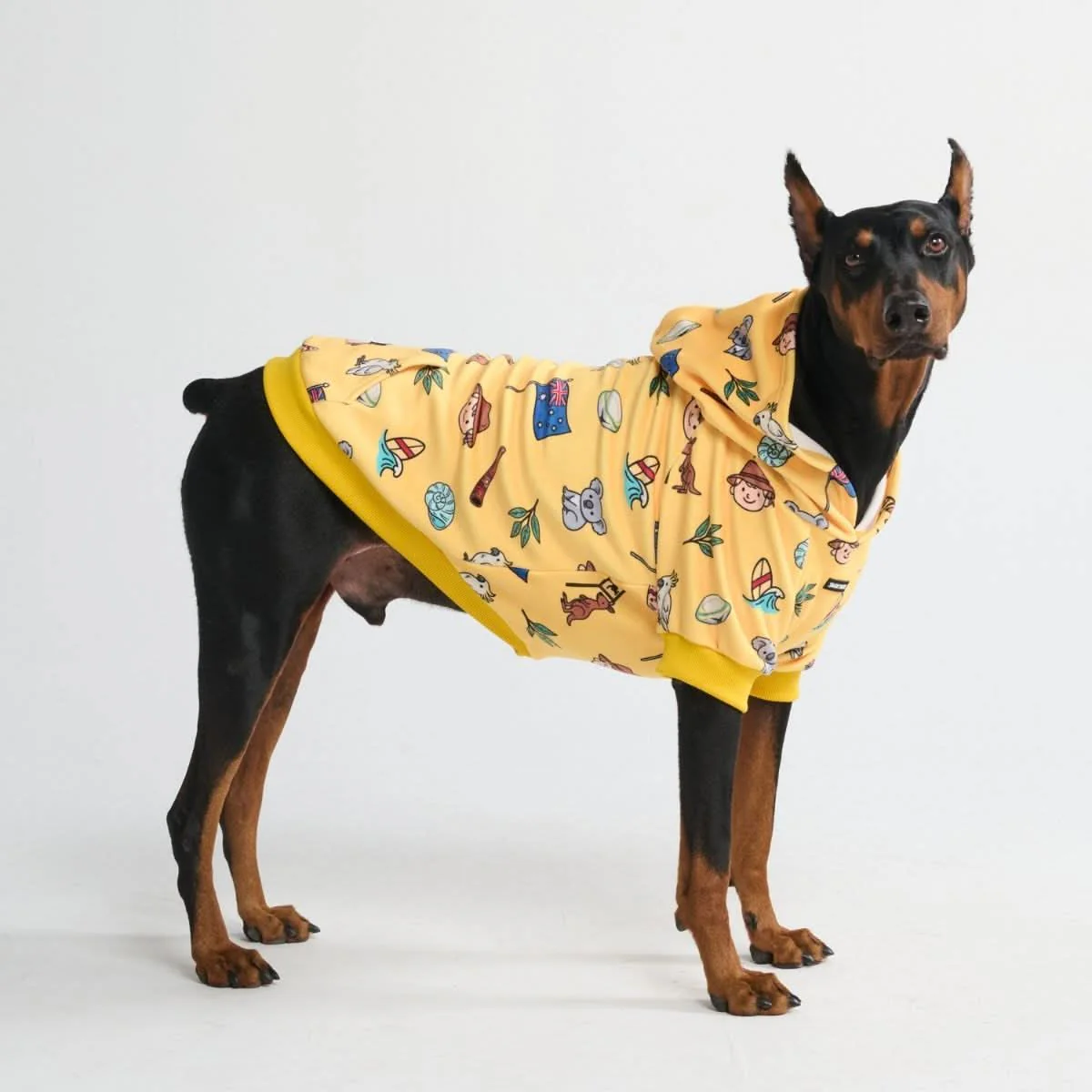 Product image 69