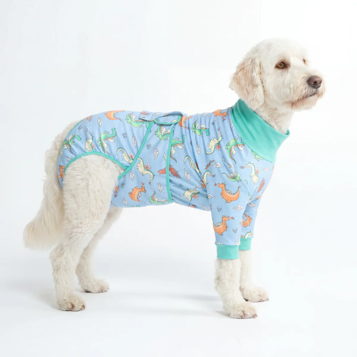Product image 100