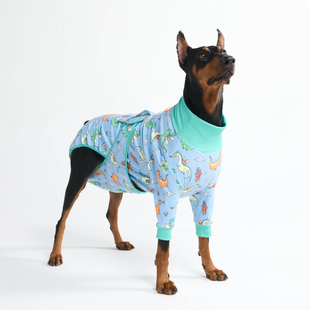Product image 107