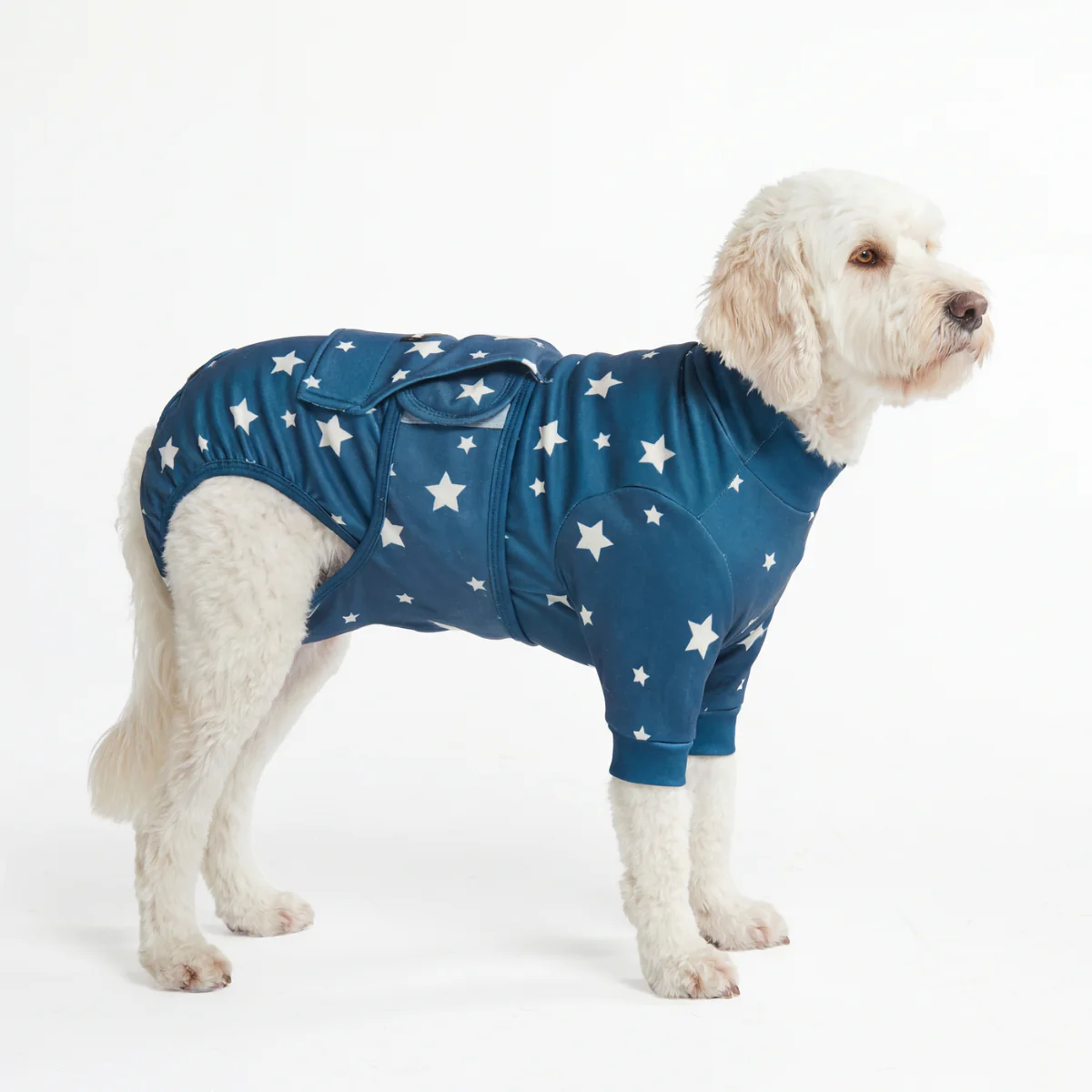 Product image 65
