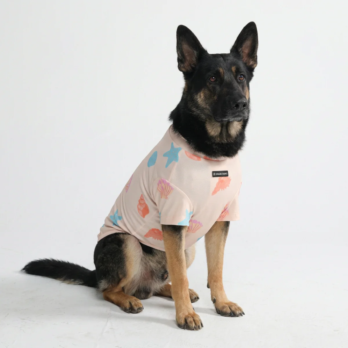 Product image 42