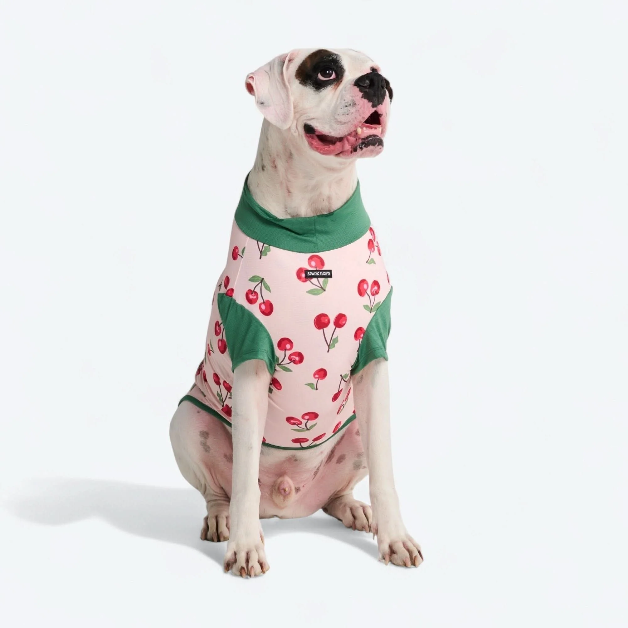Product image 55